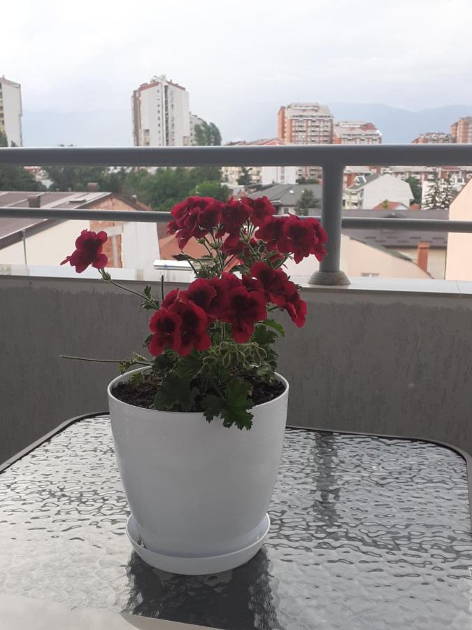 Ballet Apartament Skopje Exteriér fotografie
